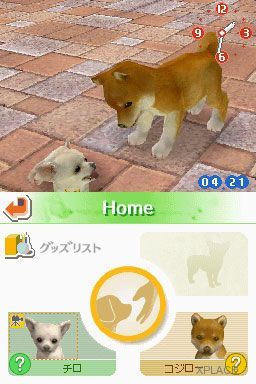 Nintendogs – Labrador & Friends (K)(Independent) thumbnail